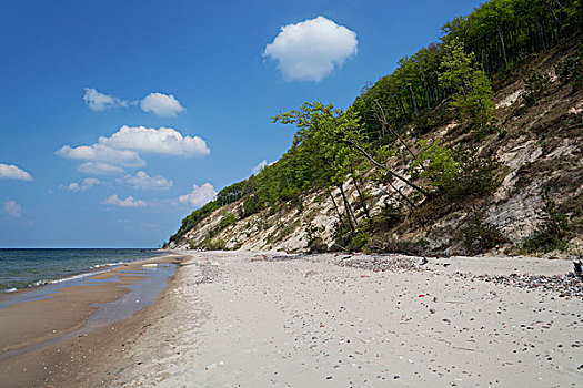 海滩,峻岸,波罗的海,国家公园,乡村,西部,波美拉尼亚,省,杆