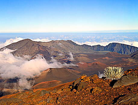 美国,夏威夷,毛伊岛,哈莱亚卡拉国家公园,哈雷阿卡拉火山口,前景
