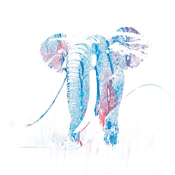 大象,图像,水彩