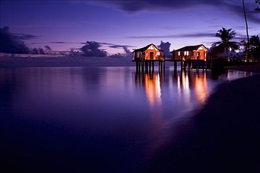 海滨别墅,椰子,萨摩亚群岛