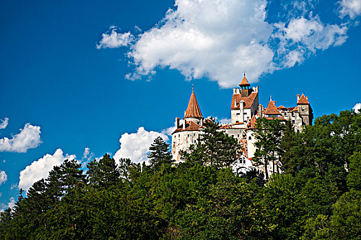 麸,城堡,布拉索夫,特兰西瓦尼亚,喀尔巴阡山脉,罗马尼亚,欧洲