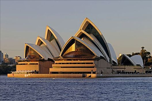 剧院,悉尼,日出,澳大利亚
