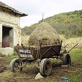 干草,四轮马车,罗马尼亚
