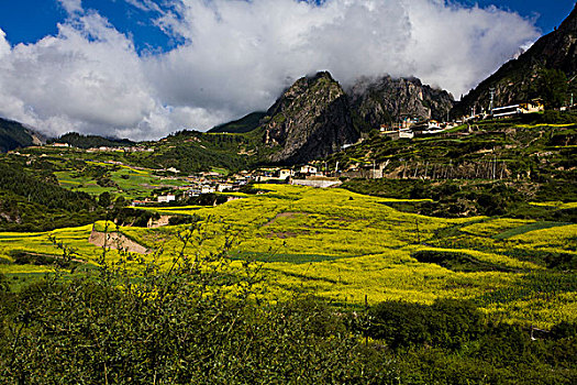 甘南,扎尕那,风光,秀丽,藏区,山村,村庄,世外桃源,云海,民居,油菜花,全景