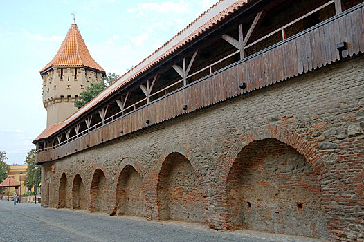 要塞,墙壁,特兰西瓦尼亚,罗马尼亚,欧洲