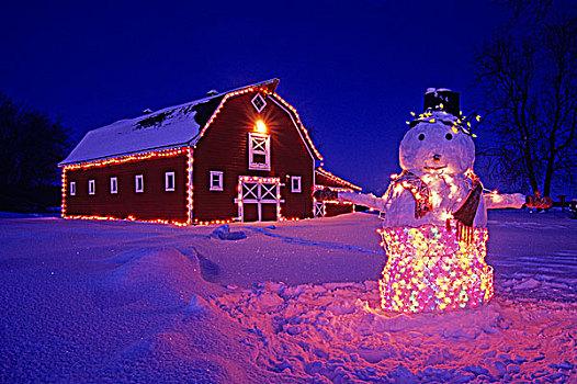 雪人,正面,靠近,曼尼托巴,加拿大