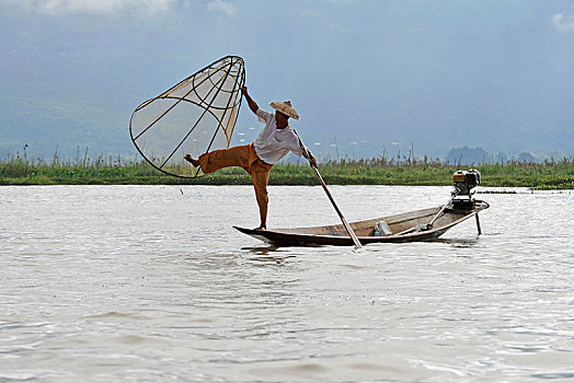渔民,捕鱼,传统,锥形,渔网,茵莱湖,缅甸,亚洲