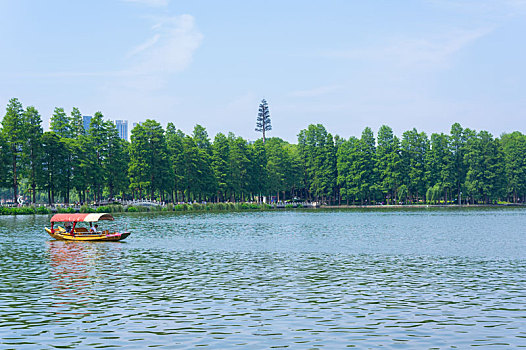 湖北武汉,东湖,风景区,夏日,风光