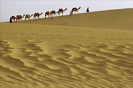 撒哈拉沙漠,非洲