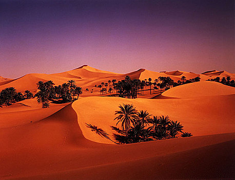 撒哈拉沙漠,沙丘,脚印