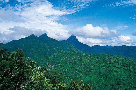 海南樂(lè)東縣內(nèi)尖峰嶺主峰
