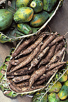 汤加,岛屿,市场,芒果,木薯粉,根