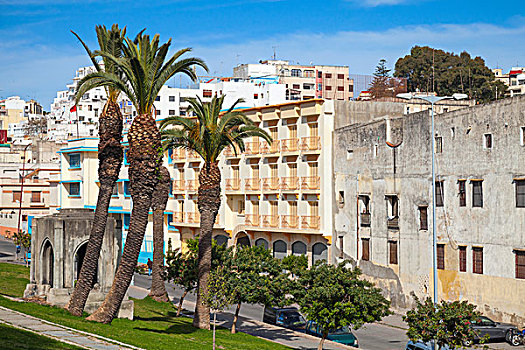 街道,风景,棕榈树,地点,丹吉尔,摩洛哥