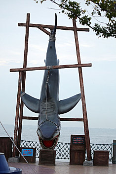 山东省日照市,7米长的,大鲨鱼,倒挂在海边,这个景区用海洋元素吸引游客来打卡
