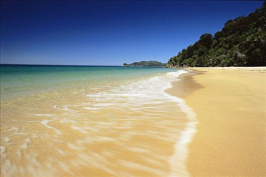 海滩,国家公园,新西兰,南岛