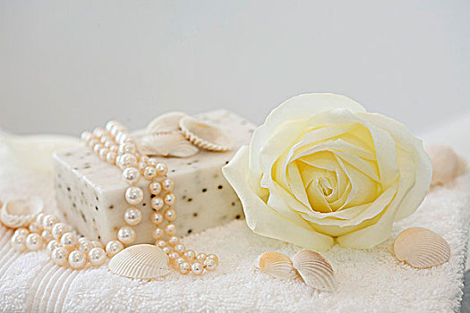 肥皂,珍珠,壳,白色蔷薇,雅典娜