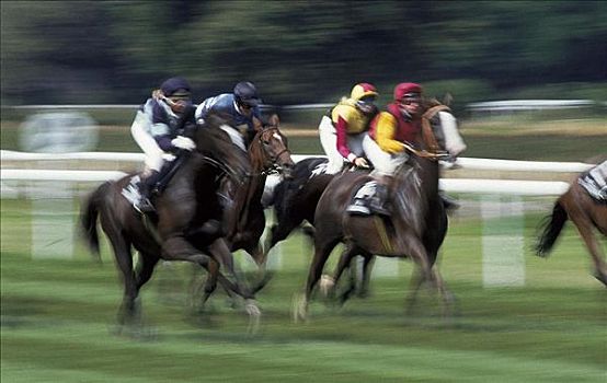 马术运动,赛马,驰骋,骑师,男人,马,哺乳动物,移动,动感,动物