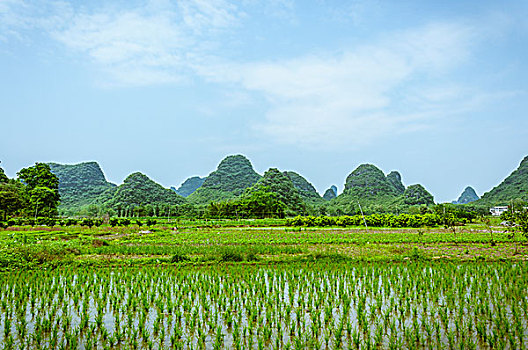 田园风光