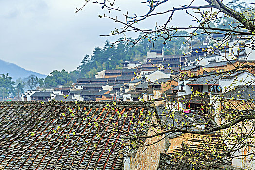 画里乡村