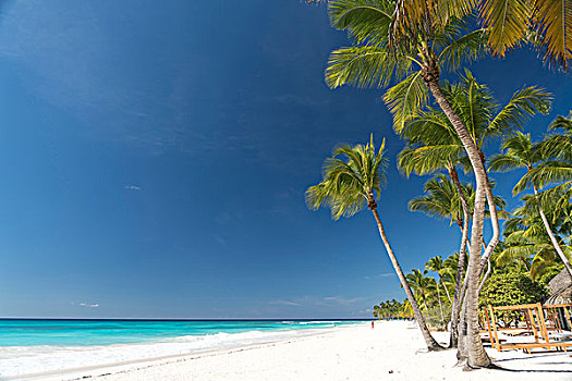 梦幻爱情海滩,沙滩,棕榈树,蓝绿色海水,公园,绍纳岛,多米尼加共和国,加勒比,北美