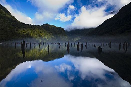 峡湾国家公园,南部地区,南岛,新西兰