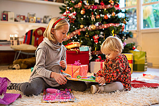 姐妹,检查,礼物,圣诞树