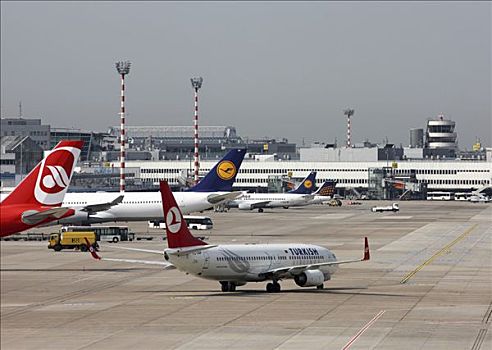 土耳其,航线,波音737,国际机场,北莱茵威斯特伐利亚,德国,欧洲