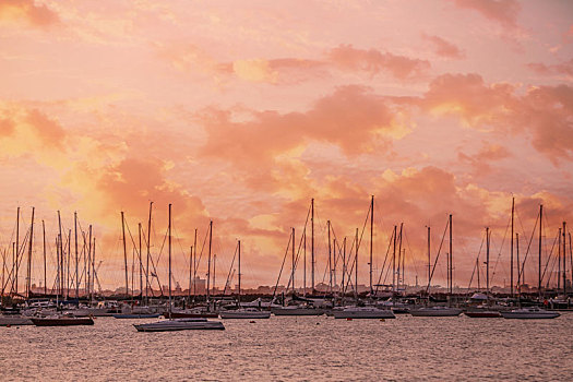 粉色橘色的傍晚晚霞港口停满了船