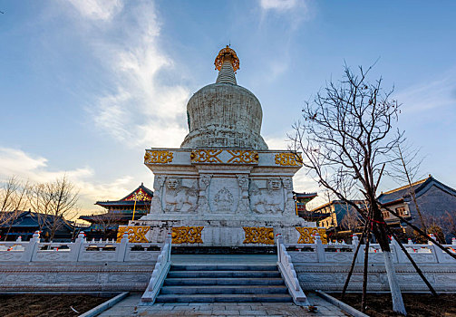 辽宁沈阳东塔护国永光寺