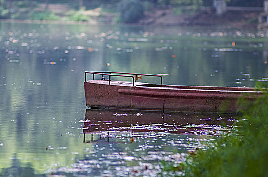 花溪公园小景