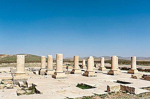 考古,柱子,大,招待,大厅,古老,城市,靠近,波斯波利斯,法尔斯,省,伊朗,亚洲