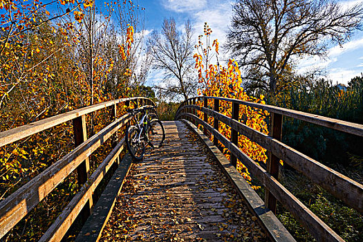 日落,自行车,秋天,木桥,公园,图里亚,瓦伦西亚,西班牙