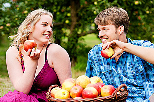 情侣,吃,新鲜,收获,苹果,正面,篮子,许多,水果