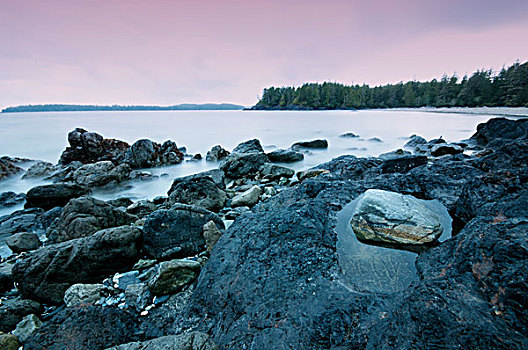 石头,海岸,日落,不列颠哥伦比亚省,加拿大