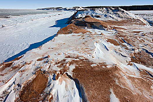 沙丘,冬天,爱德华王子岛,国家公园,加拿大