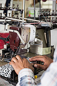 人,工作,工业,缝纫机,工厂,开普敦,南非