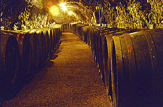 皇家,葡萄酒,疯狂,酒窖,长,隧道,木桶,老化,托卡伊