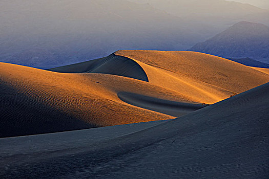 早晨,亮光,豆科灌木,沙子,沙丘,死亡谷国家公园,加利福尼亚,美国,北美