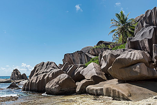 海滩,花冈岩,石头,拉迪格岛,塞舌尔,非洲