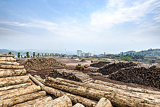 木材厂