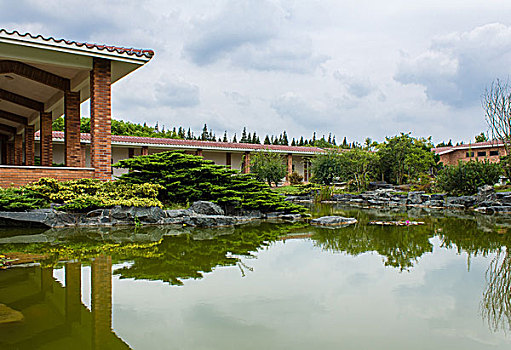 上海奉贤海湾国家森林公园影蛟盆景园