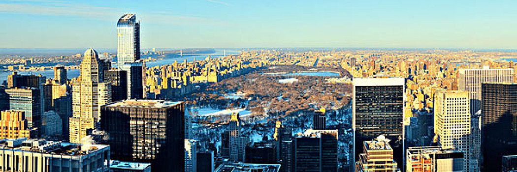 中央公园,冬天,屋顶,全景,风景,摩天大楼,曼哈顿中城,纽约