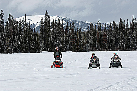 家庭,白天,雪上汽车,靠近,太阳,顶峰,滑雪胜地,北方,不列颠哥伦比亚省,加拿大