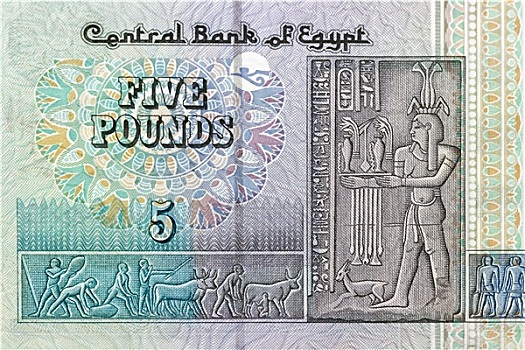 磅,钞票,埃及