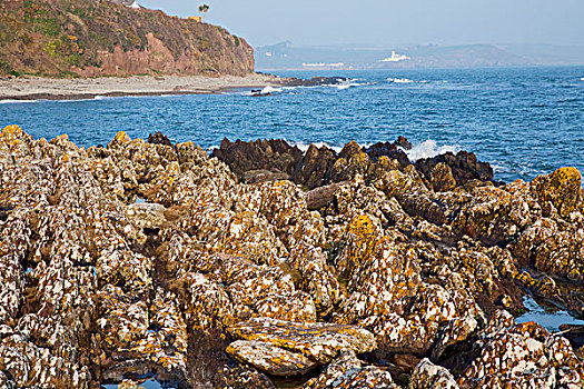 石头,海岸线,科克郡,爱尔兰