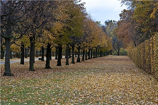 公园,秋季