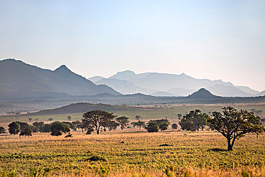 乌干达,山谷,国家公园,荒野,壮观,东北方,南苏丹