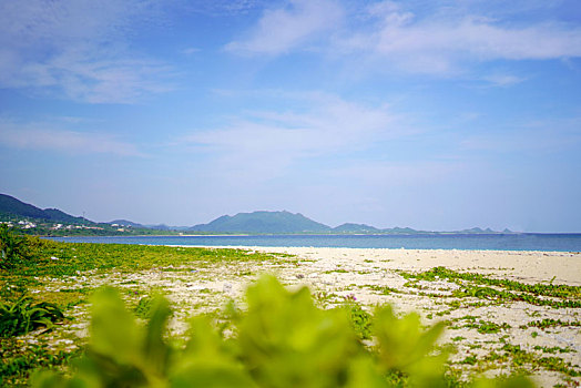 海滩,石垣岛,冲绳,日本