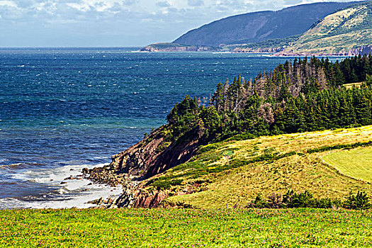 海岸线,小,布雷顿角,新斯科舍省,加拿大