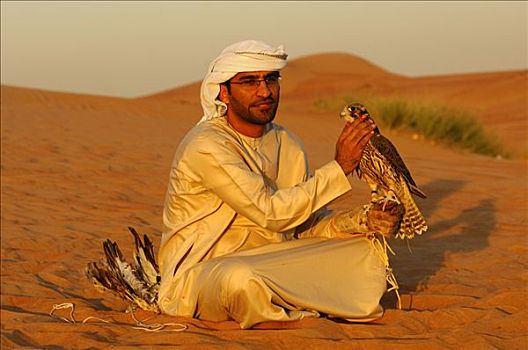 阿拉伯,养鹰者,坐,荒芜,沙子,猎鹰,迪拜,阿联酋,中东
